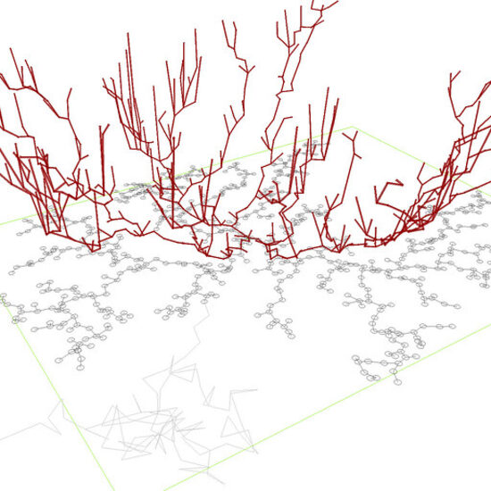 Magmi Installer Script